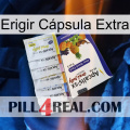 Erigir Cápsula Extra 11